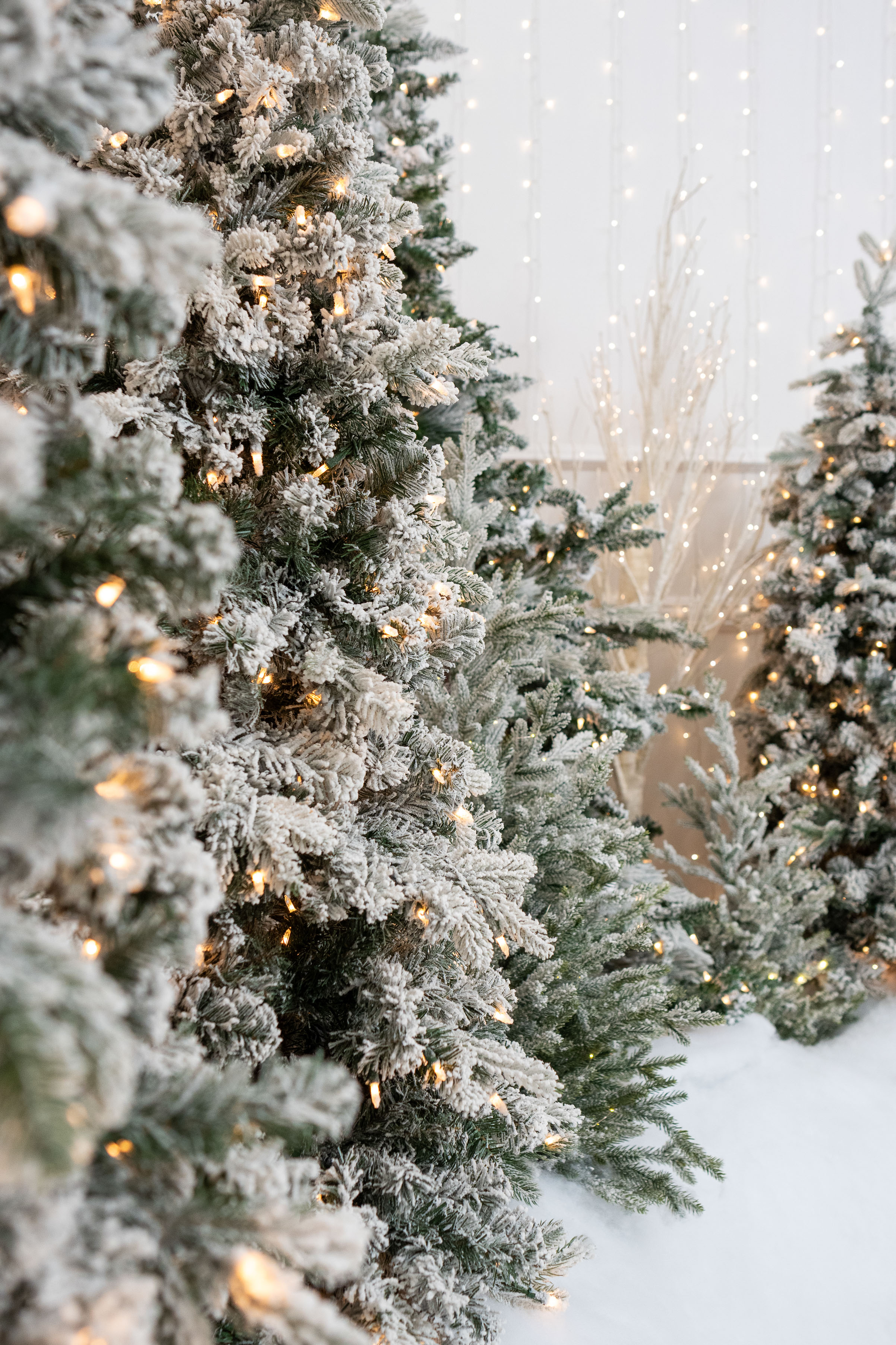 Holiday session set that has a Christmas tree, fireplace and gifts around the bottom of the tree.